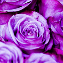 ddos在线压力测试平台